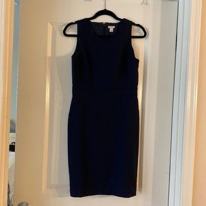 Navy Jcrew Dress